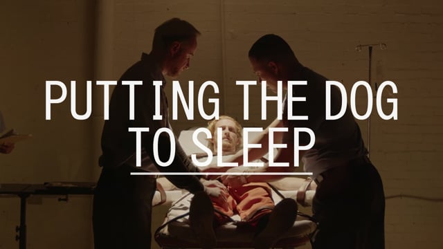 Putting the Dog to Sleep