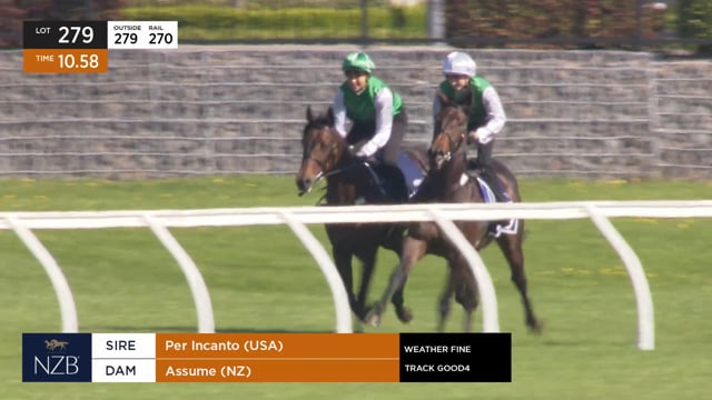 Assume - Per Incanto