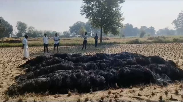 धान की कटी पड़ी फसल में लगी आग किसान का हजारों का हुआ नुकसान पड़ोसी पर लगाया आग लगाने का आरोप