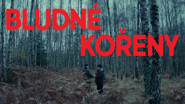 Náhled pro video reference