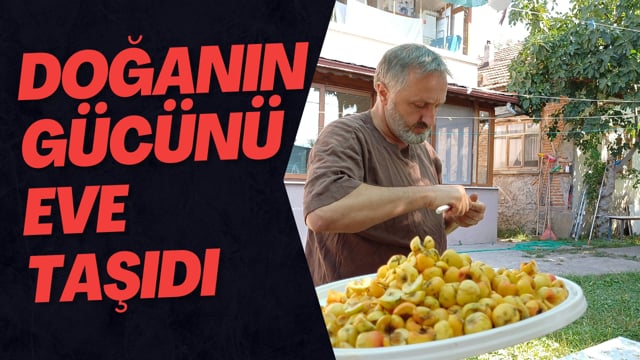 Doğanın Gücünü Eve Taşıdı