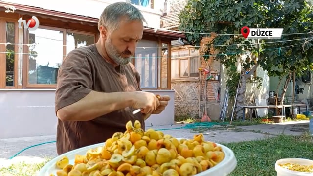 Doğanın Gücünü Eve Taşıdı