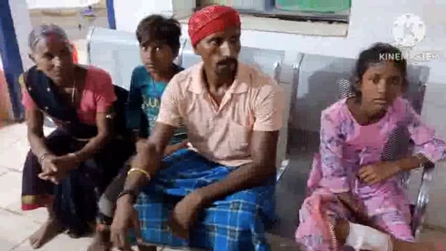 अमरपुर प्रखंड में लंगूर का आतंक चरम पर। जानकीपुर के एक बच्ची को काटा।