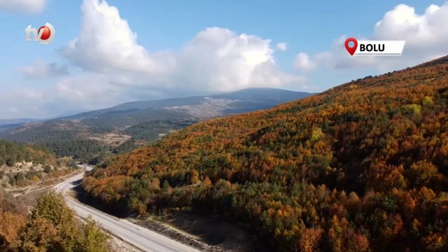 Bolu'nun Yükseklerinde Renk Cümbüşü