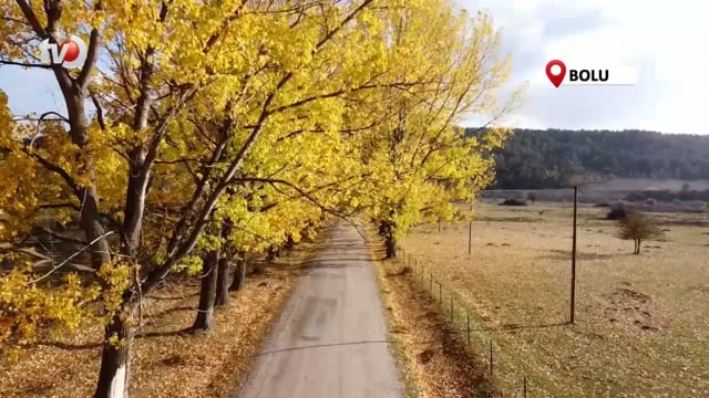 Bu Yol Yeni Evlenen Çiftlerin Uğrak Noktası