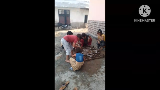 गोवर्धन  पर्व पर सभी घरों के बाहर भगवान  गोवर्धन की दुर्लभ आकृति बनाई हुई दिखाई दी