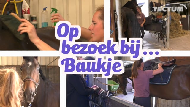 Op bezoek bij...Baukje