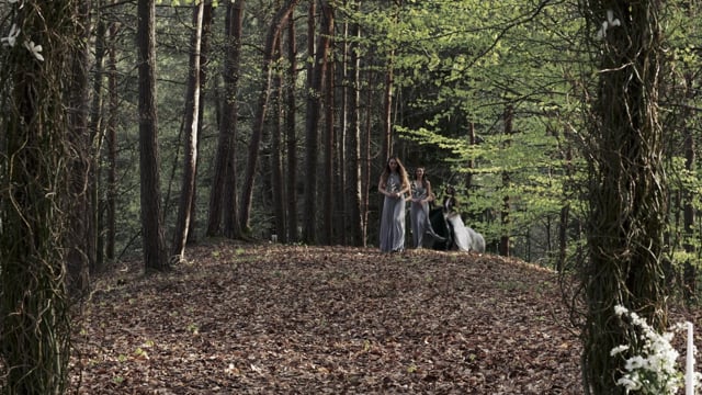 © Waldhochzeit Waldhochzeit