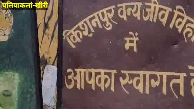 जंगली हाथियों ने बरबाद की किसानों के गन्ने की फसल