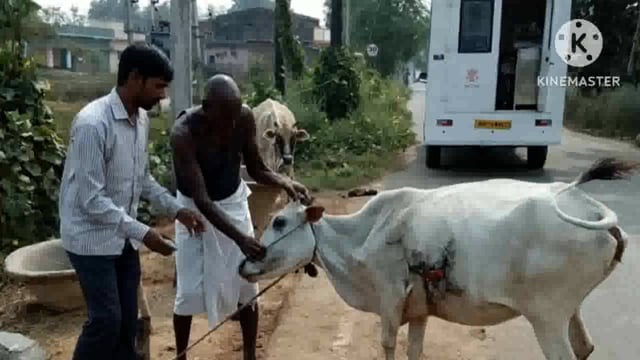प्रखंड में मोबाइल पशु चिकित्सा सेवा का किया गया शुरुआत