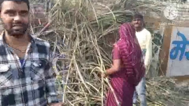 देवउत्थान एकादशी पर पंचकोसीय परिक्रमा करने को उमड़ा भक्तों का भारी जन-सैलाव।