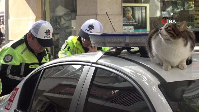 Kapalı caddeye motosikletle girenlere ceza yağdı