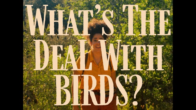 WHAT'S THE DEAL WITH BIRDS? | Official Trailer (2025)