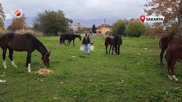 At Sevgisiyle Başlayan Hobi Hipodromda Devam Ediyor