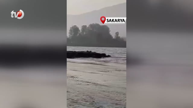 Sapanca Gölü’nde Su Çekildi Tarihi Yapı Ortaya Çıktı