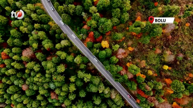 Gölcük Tabiat Parkı’nda Mest Eden Sonbahar Görüntüsü