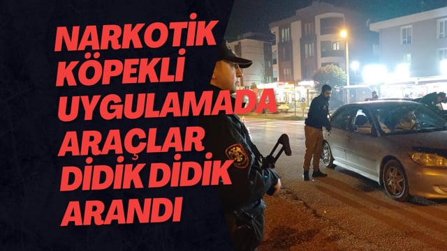 Narkotik Köpekli Uygulamada Araçlar Didik Didik Arandı