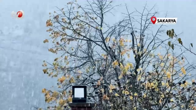 Sonbahar Renkleri Beyaz Örtüyle Kaplandı, Ortaya Kartpostallık Görüntüler Çıktı