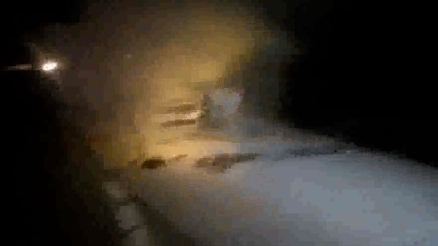 यमुना एक्सप्रेसवे पर चलती कार में लगी आग लोगों ने बमुश्किल बचाई जान