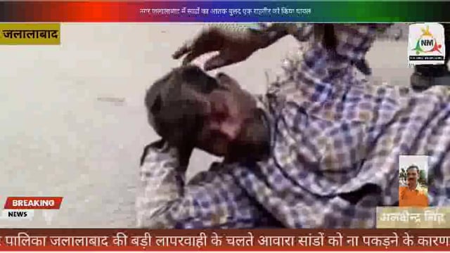 नगर पालिका जलालाबाद की लापरवाही से राहगीर बना आवारा सांड का शिकार सांड ने अपनी टक्कर से किया लहु लुहान 