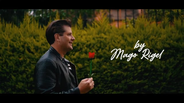 Video Dropping Flower by Twister Magic