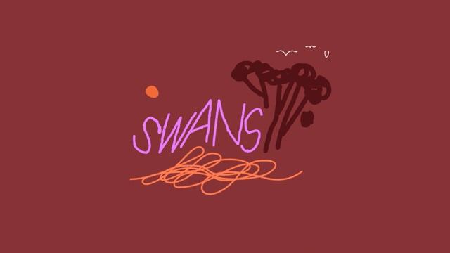Swans