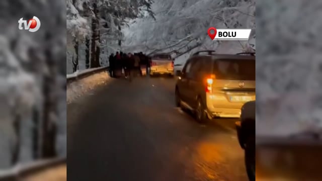 Kar ve Tipiye Dayanmayan Ağaçlar Gölcük Tabiat Parkı Yoluna Devrildi