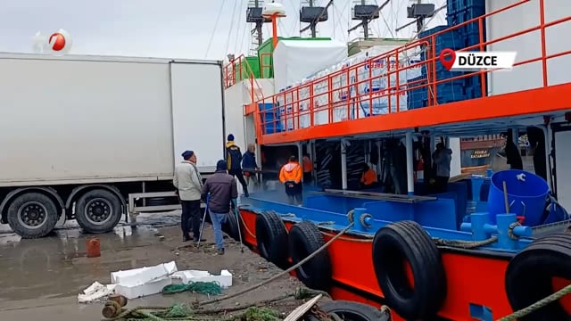 Karadeniz'den Tonlarca Hamsi Çıktı