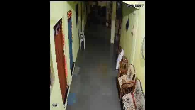 उदगीर शहरात बिबट्याचा वावर,सर्व घटना सीसीटीव्हीत कैद