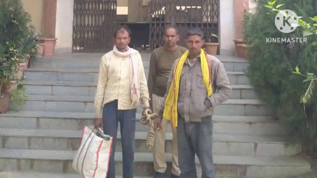 हाईवा ने ट्रांसफार्मर लगे पोल में मारी टक्कर, ग्रामीणों ने ड्राइवर को पड़कर किया पुलिस के हवाले