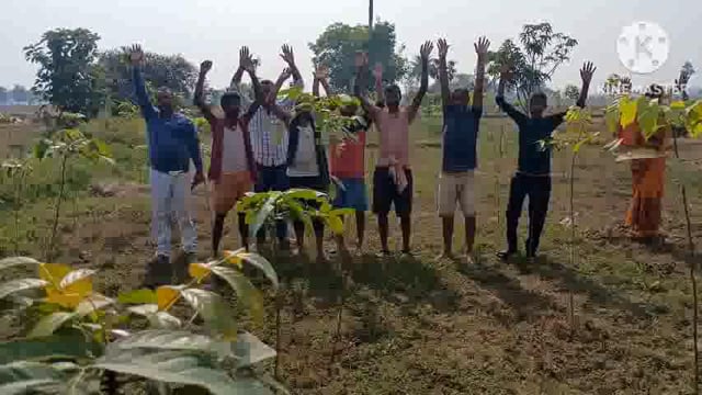 तारडीह गांव के लोगों ने वृक्ष नहीं काटने को लेकर किया प्रदर्शन। वन प्रमंडल पदाधिकारी को दिया आवेदन।