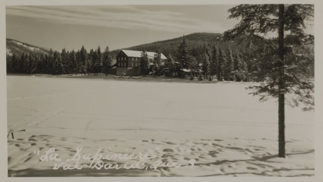 TRAILER - Dans les pins (Among the Pines) - a short film by Shelagh Rowan-Legg