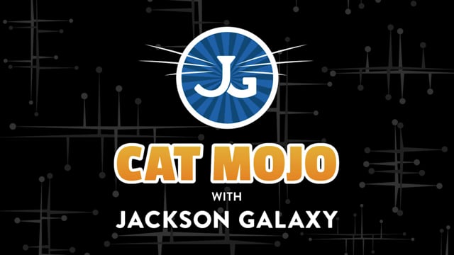 Jackson Galaxy Cat Mojo SecondCat