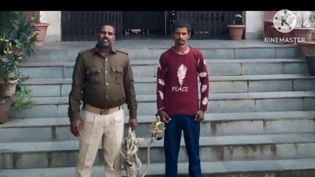 पुलिस ने विभिन्न मामलों में दो आरोपी को गिरफ्तार कर भेजा न्यायालय