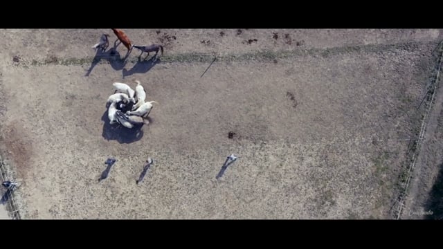 Réalisation Documentary — LRJ Productions