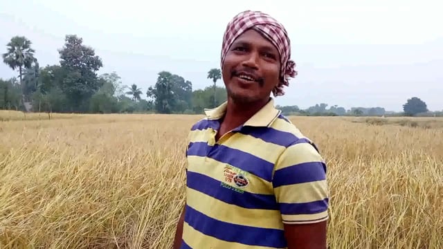 ଆତିଣ୍ଡା ଗ୍ରାମରେ ସନ୍ଧ୍ୟା ରେ ବି ଚାଷୀ ବିଲରେ ବାରହା ଓ ହାତୀ ପାଇଁ ଚାଷୀ ହ୍ୱନ୍ତଶାନ୍ତ ପଞ୍ଚାୟତ ରେ ଅଠରସହ ଟଙ୍କା ରେ ବିକୁଛି ଧାନ ଚାଷୀ 