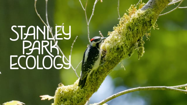 Stanley Park Ecology Society
