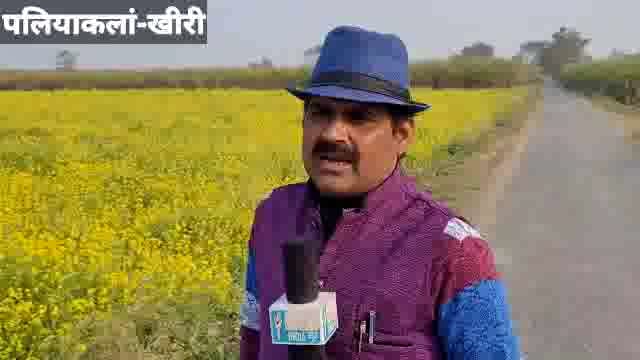 देखिए_कहां_किया जा रहा ग्राम समाज की जमीन पर अवैध कब्जा 