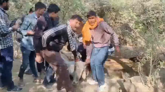 गोवंशों के शव मिलने को लेकर हिंदूवादी संगठनों में आक्रोश किया रोड जाम मौके पर पहुंचे जिलाधिकारी