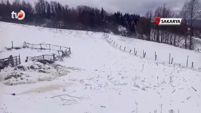 Sakarya'nın Yüksek Kesimleri Beyaz Gelinliğini Giydi, Kar Kalınlığı 10 Santimetreyi Buldu