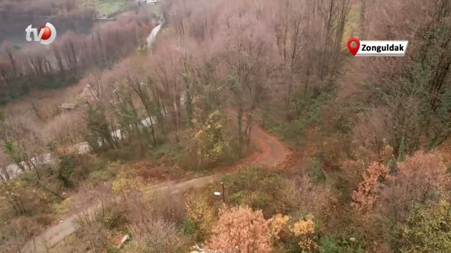 Zonguldak Ormanlarında Sonbahardan Kışa Geçiş Güzelliği Yaşanıyor