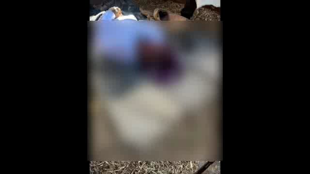 नावंदी पाटीजवळ अज्ञात वाहनांच्या धडकेत एक जण ठार