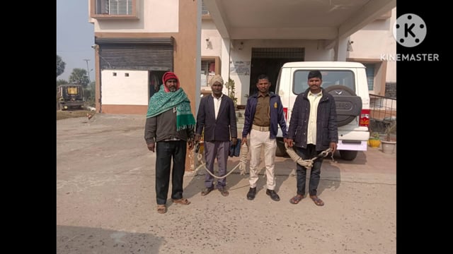 पुलिस ने तीन वारंटी को गिरफ्तार कर भेजा न्यायालय