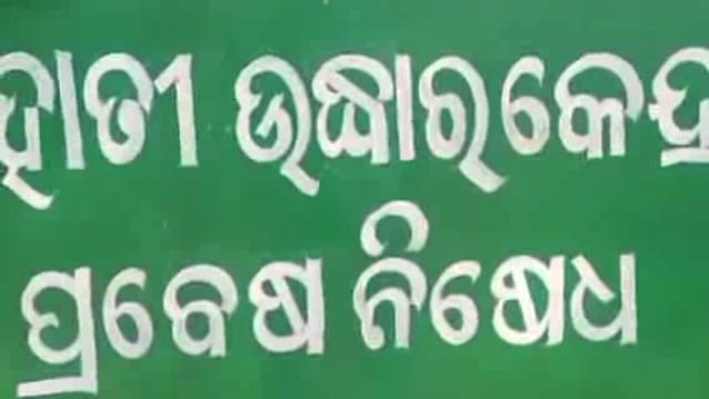 କପିଳାସ ହାତୀ ଉଦ୍ଧାରକେନ୍ଦ୍ରରେ ଚିକିତ୍ସାଧୀନ ଅବସ୍ଥାରେ ଚାଲିଗଲା ଏକ ହାତୀର ଜୀବନ 
