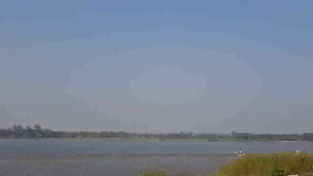  Ranga pakshi vihar mein gandgi ka lagam bar