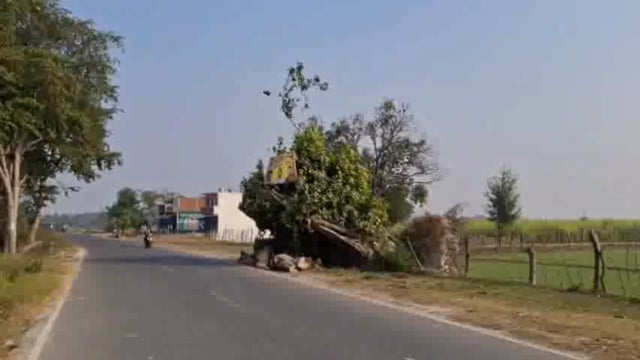 दुर्घटना को दावत दे रहा सड़क पर गिरा पेड़, प्रशासन कर रहा बड़ी दुर्घटना का इंतजार।