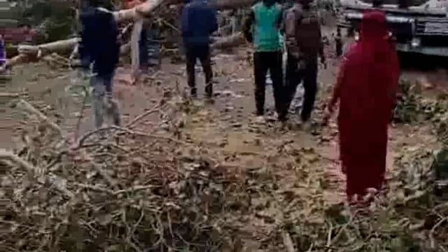 बाबागंज ब्लॉक झींगुर तिराहा के कोटवा गाँव के पास पीपल के वृक्ष से टकराया डम्फर बाल बाल बचें ड्राइवर ग्रमीणों नेकिया मदद 