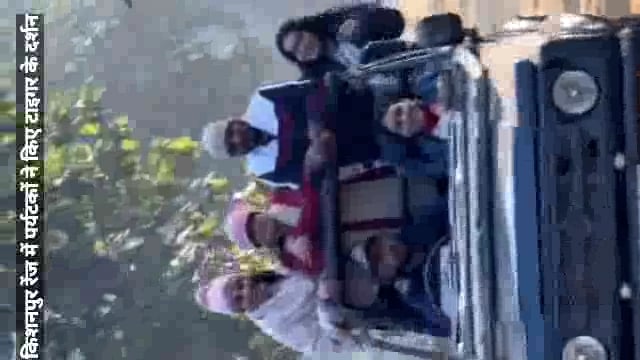 किशनपुर रेंज में पर्यटकों ने किए टाइगर के दर्शन