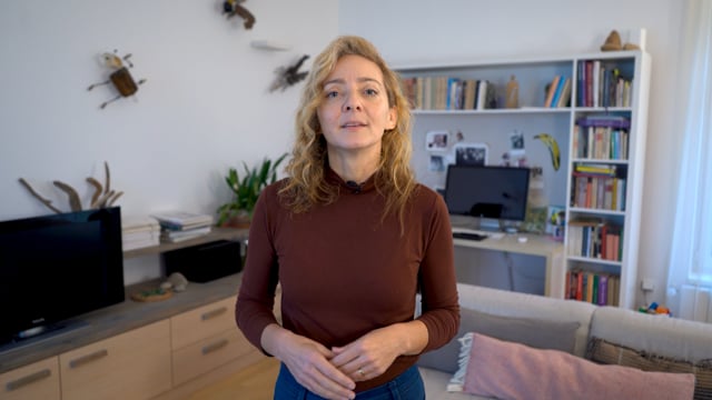 Náhled pro video reference