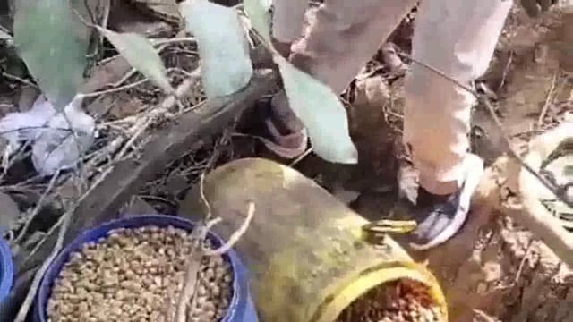 अवैध शराब बिक्री पर माननीय न्यायालय शवाल उठाते रहे हैं, वहीं स्थानीय पुलिस कार्रवाई के नाम पर सिर्फ वसूली पर तुली है? 